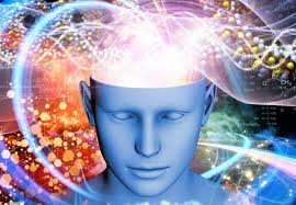 Cerebro en Expansión